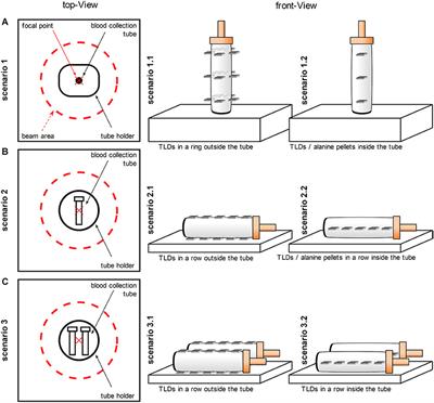 Dose Variations Using an X-Ray Cabinet to Establish in vitro Dose-Response Curves for Biological Dosimetry Assays